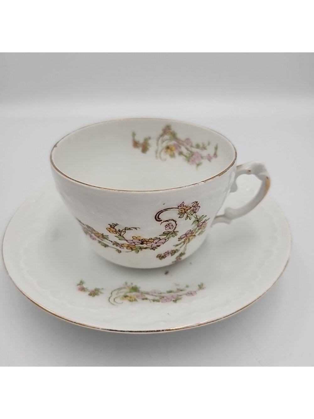 Vintage Karlsbad Shabby Chic Teacup & Saucer Vienna Austria Hand Painted